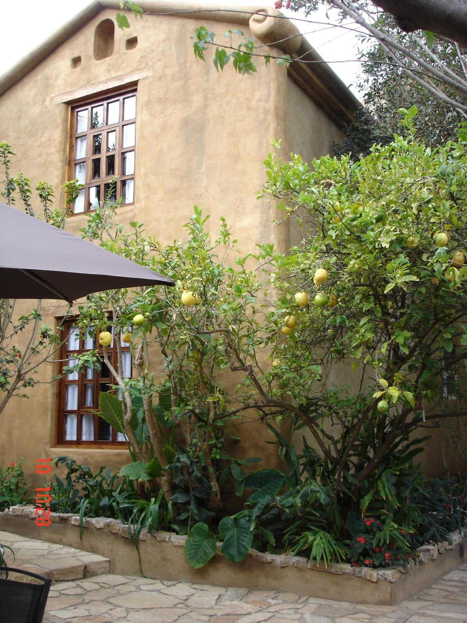 Guayaba Inn Boutique Hotel San Cristóbal de Las Casas Exterior foto
